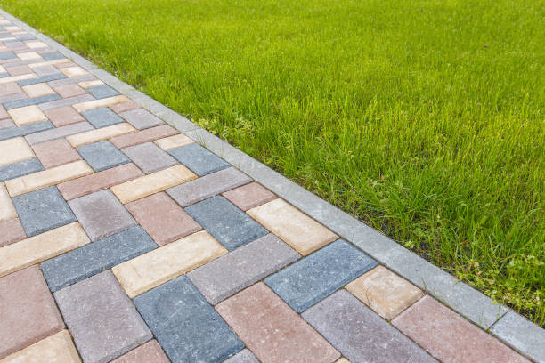 Best Driveway Repair Near Me  in Monterey, TN